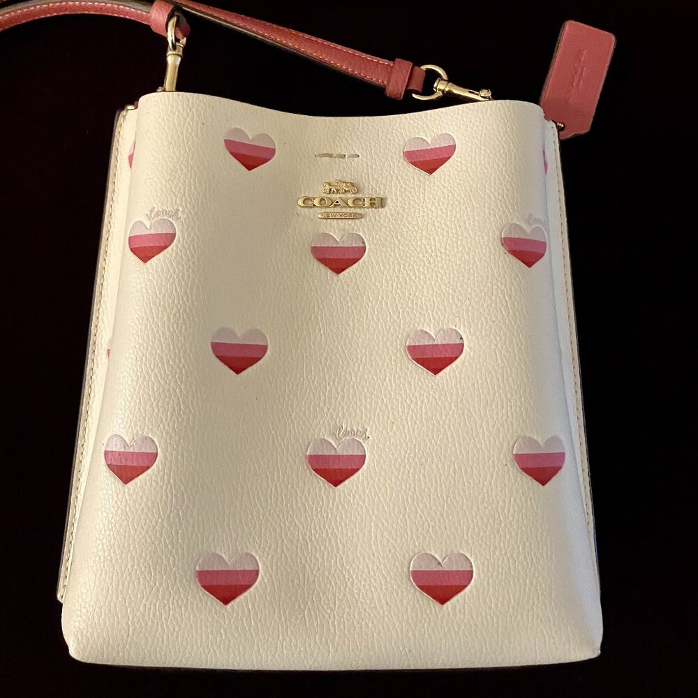 Coach Mollie Bucket Bag with Zip Wallet Case